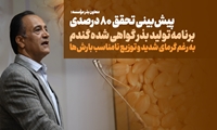 پیش‌بینی تحقق ۸۰ درصدی برنامه تولید بذر گواهی شده گندم به رغم گرمای شدید و توزیع نامناسب بارش‌ها